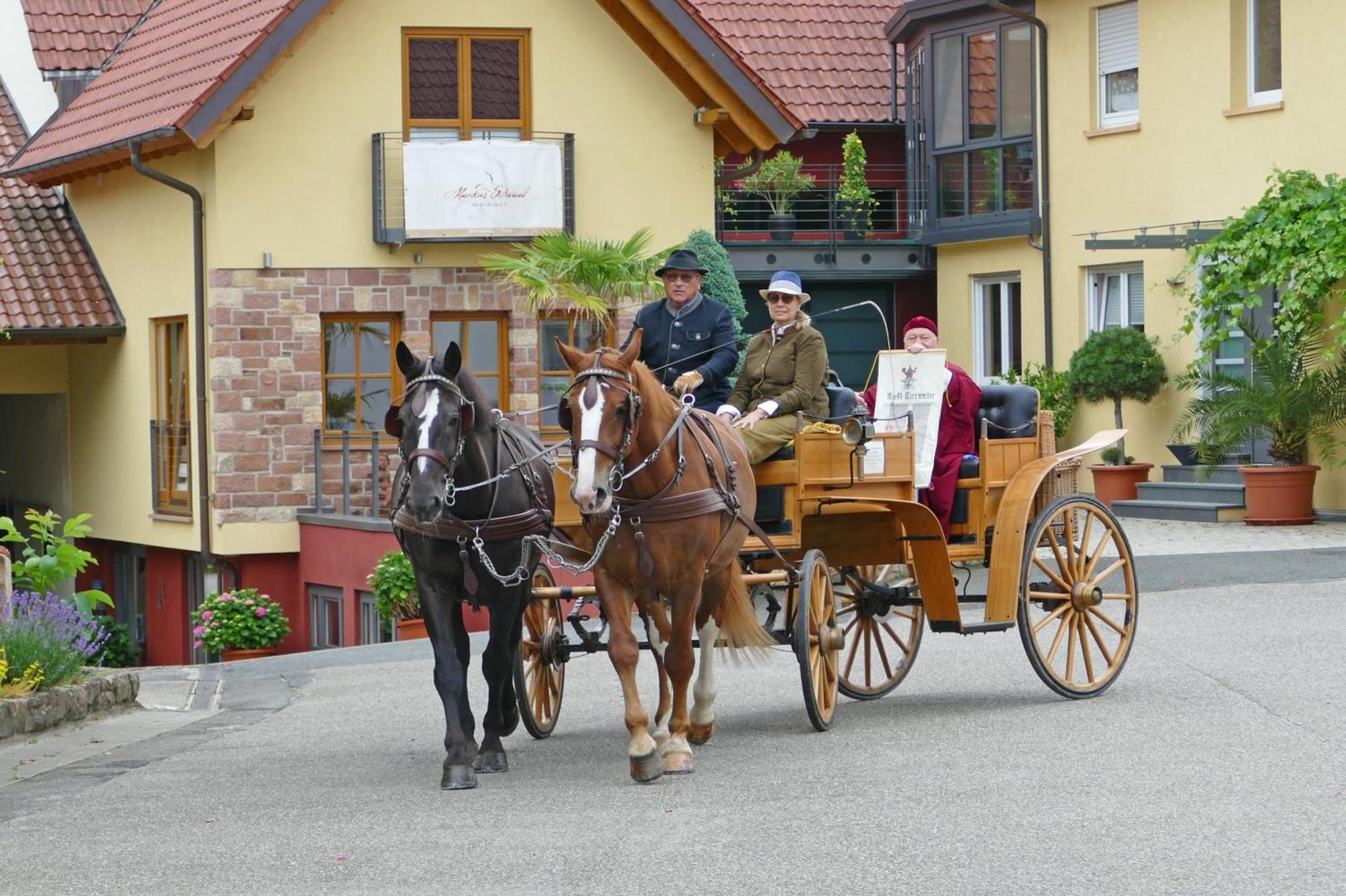 Hotel Garni Sebastian Kirrweiler  Екстериор снимка